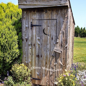 May include: Weathered wooden outhouse with a crescent moon cutout on the door. The outhouse has a sloped roof and is surrounded by greenery and wildflowers. The door has a black metal hinge and latch.