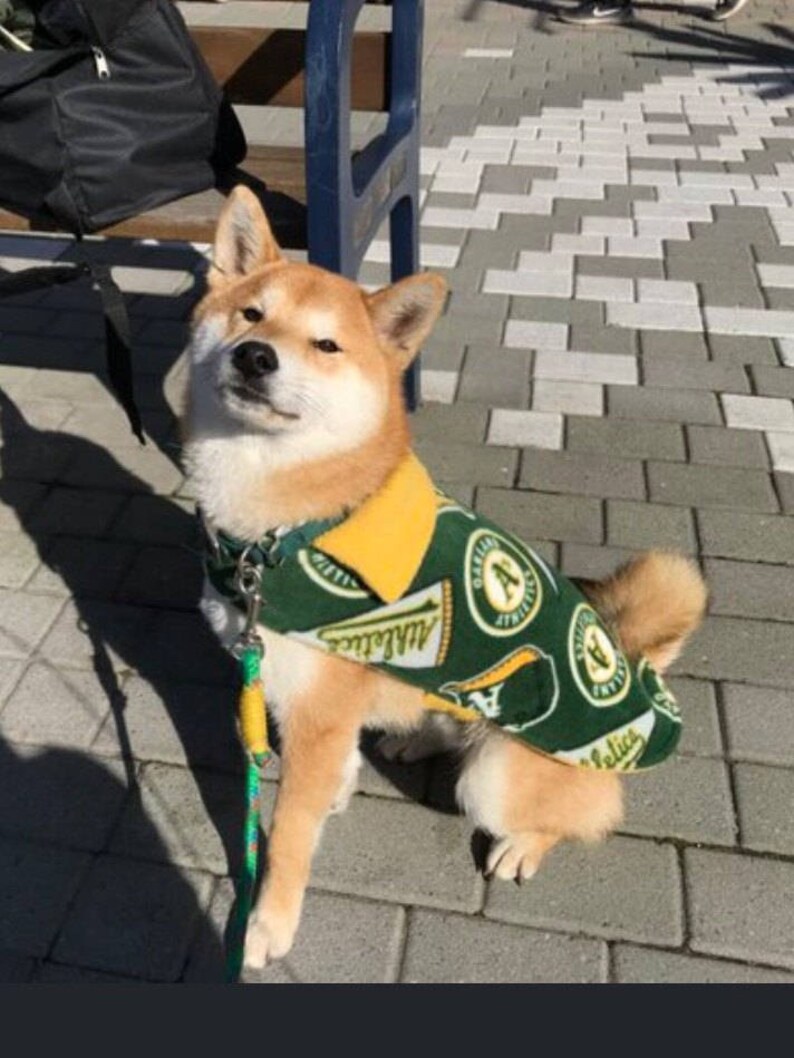 Oakland A's Lined Fleece Dog Jacket in Size Medium. Etsy