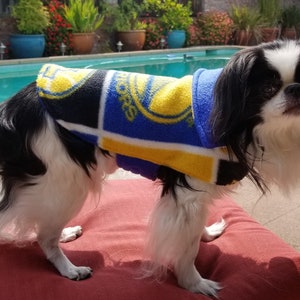 warriors dog sweater