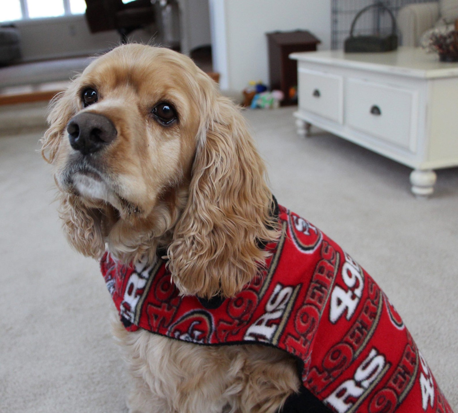 49er reversible fleece dog jacket in size large Etsy