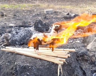 Burning of the Sacrificial Animal - Fulfillment of a Desire - Request to the Gods