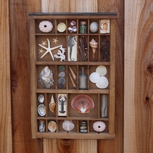Organized Beach- Found Object Assemblage Art Printers Tray