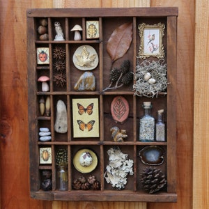 Organized Nature- Found Object Assemblage Printers Tray