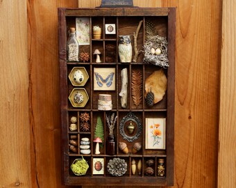 Organized Nature - Found Object Assemblage Printers Tray Art