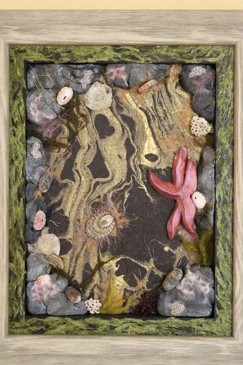 Framed Tidepool Mixed Media Assemblage Art Etsy