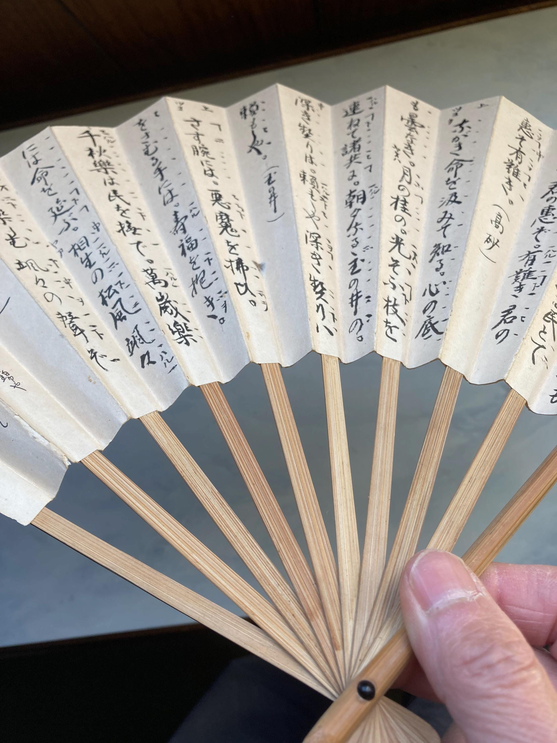 旧家蔵出 扇子 清国 名家 豫生 篆書体 書道 扇面絵 肉筆保証 古美術