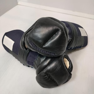Kendo,  Kendo Hand Glove, Kendo Kote, Japanese Martial Arts,  Kendo Armor, Kendo Protection,