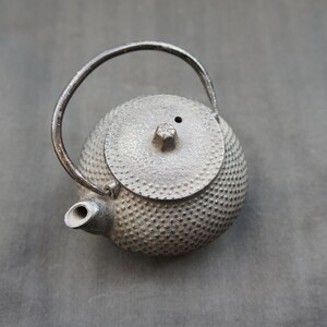Op de afbeelding: Een kleine, zwarte gietijzeren theepot met een getextureerd, gebollet oppervlak en een rond deksel. De theepot heeft een enkele handgreep en een tuit.