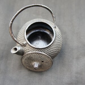 Op de afbeelding: Een zwarte gietijzeren theepot met een rond lichaam en een kleine tuit. De theepot heeft een getextureerd oppervlak en een deksel met een klein gaatje in het midden.