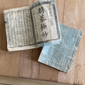 Antique Japanese calligraphy ink Shogi Book Art Set of two