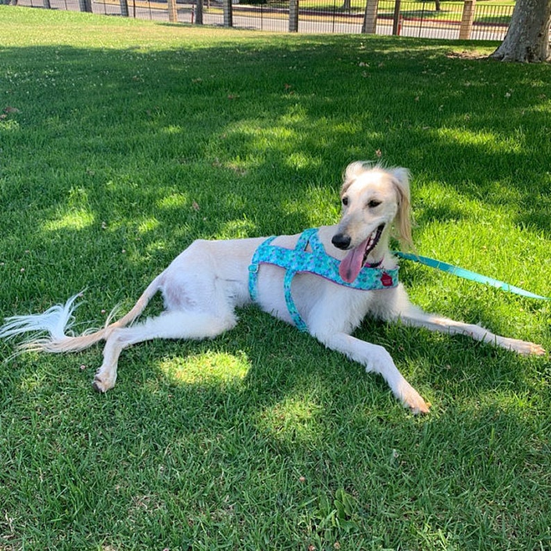 dog harness norwegian harness Norway anti escape harness triple harness custom size dog accessories greyhuond harness safe harness