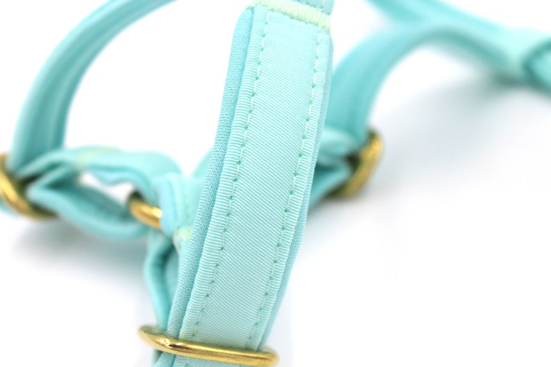 Süße Minze Wache Geschirr. Für Hund Windhunde Chihuahua Etsy