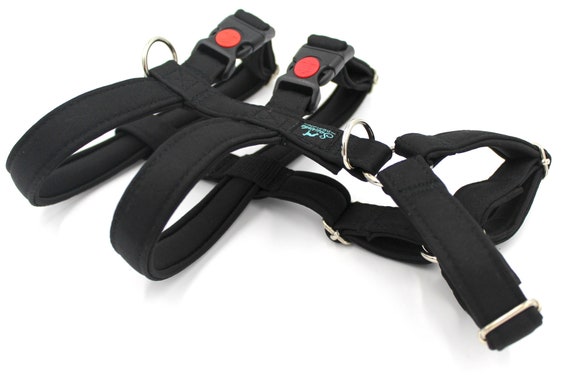 anti slip dog harness