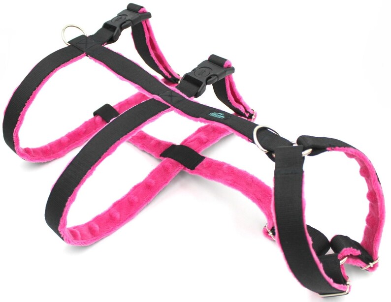guard dog harness