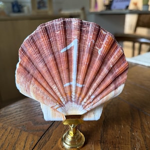 Hand Painted Shell Table Numbers – Wedding, Party Decor (Approx. 4x4")