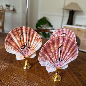 May include: Three seashell table number holders. The shells are white, pink, and orange with black numbers 1 and 2. Each shell is mounted on a small, gold-colored stand. The table numbers are on a wooden table.