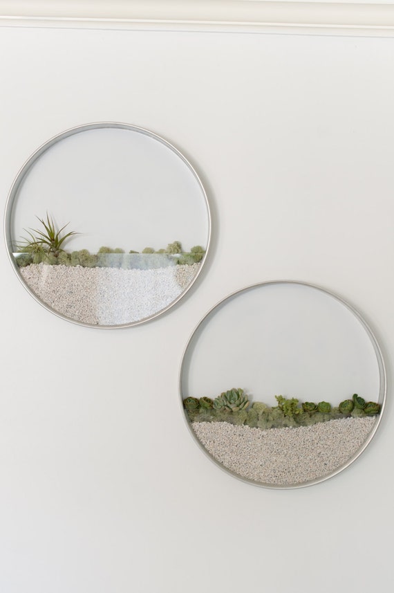 Vertical Garden Planter For Succulents And Air Plants Image 0