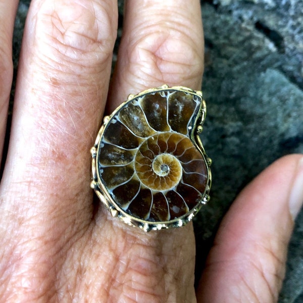 Brass Ammonite Ring / Gold Ammonite Fossil Ring / Natural Sacred Geometry Spiral Ring / Gold Seashell Ring / Fossil Fibonacci Ring  - R101