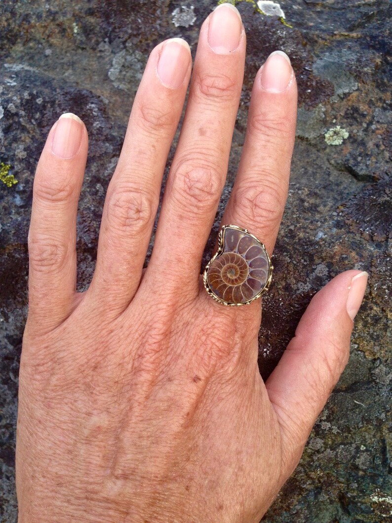 Brass Petite Ammonite Ring / Spiral Fossil Sacred Geometry Etsy