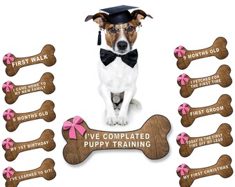 Puppy Dog Milestone Cards / Props - PRINTABLE FILE