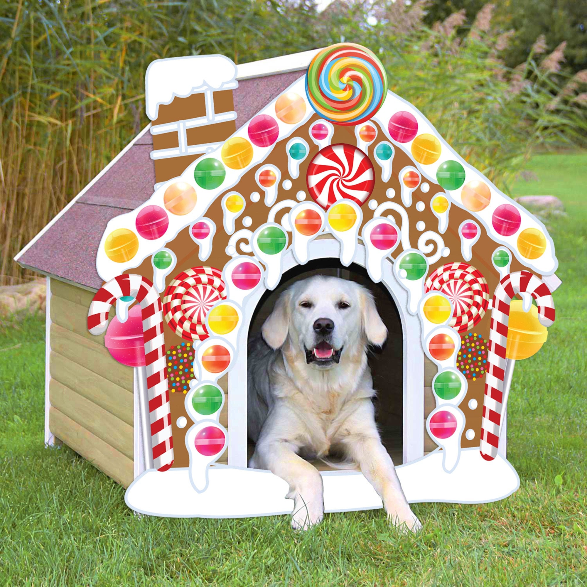 Large Gingerbread Dog House Christmas Photo prop PRINTABLE Etsy
