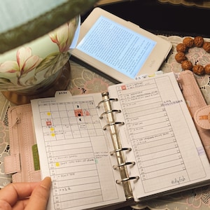 May include: A pink personal planner with a silver binder ring. The planner is open to February 2024 and has handwritten appointments and notes. The right page has a list of appointments for June 12-29. The text on the right page includes "June's Birthday", "OPICCA", "LED Language Online", and "@diyfish".