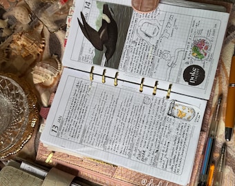 5-YEAR JOURNAL: Diary for Daily Journal Writing -Filofax Inserts Refills Printable Binder Planner TN