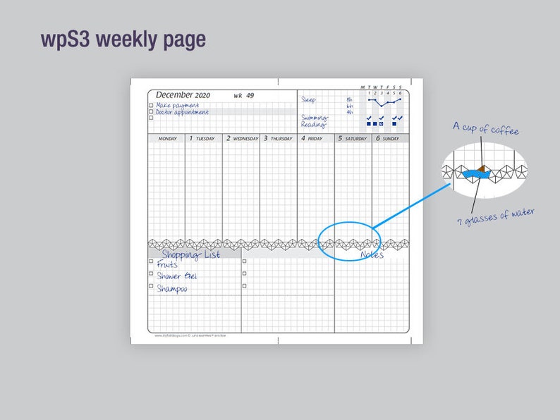 V6large month-on-1-page wpS3 weekly pages / Life Mapping Components Filofax Inserts TN Printables Binder Planner Midori image 3