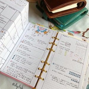 V63b monthly foldout + vCircle week-on-2-page / Life Mapping Components - Filofax Inserts TN Printables Binder Planner Midori