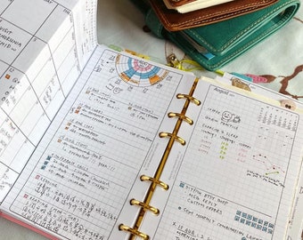 V63b monthly foldout + vCircle week-on-2-page / Life Mapping Components - Filofax Inserts TN Printables Binder Planner Midori