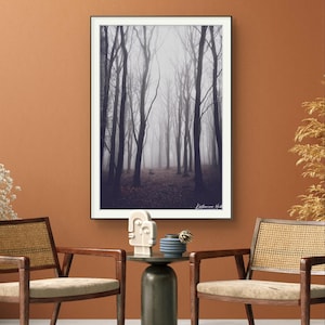 Misty Winter Forest Print: Enchanted Beech Wood Landscape Photo