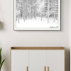 Impresión fotográfica de bosque invernal: escena nevada en Finlandia, decoración moderna para el hogar