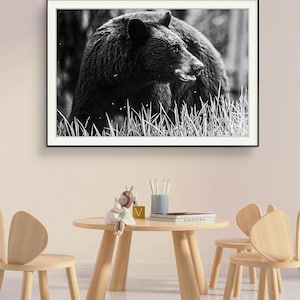 Black Bear Photography Print: Canadian Wildlife Nature Art