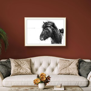 Splendida stampa in bianco e nero di un cavallo islandese, immagini di natura selvaggia, finitura lucida, fotografia di viaggio, arte murale di animali equini, F07