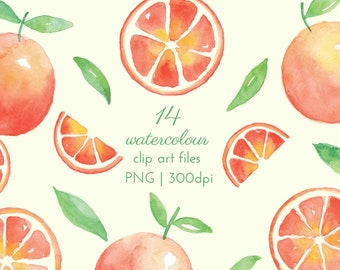 14 Watercolour Orange Clip Art PNG Files, Instant Download Orange Elements, 300dpi, Commercial License Included