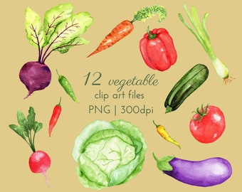 12 Watercolour Vegetable Clip Art Files, Instant Download Vegetable PNG, 300dpi with Transparent Background, Commercial License Included