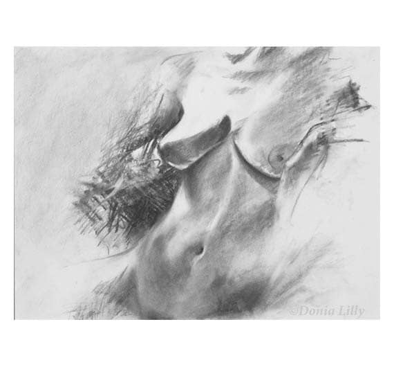 Gray Figure Drawing Of Nude Female Body Black  White -2501