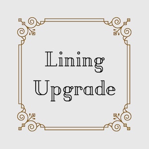 May include: A light gray background with a brown decorative border. The text "Lining Upgrade" is displayed in black, centered within the border. The border has ornate corner designs.