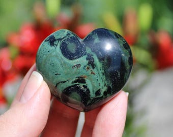 Puede incluir: Una piedra en forma de corazón con una mezcla de patrones verde oscuro y negro. La superficie pulida refleja la luz. La piedra se sostiene en una mano contra un fondo borroso de follaje verde y flores rojas.