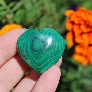 Malachite Polished Heart Green Malachite Crystal Heart Transformation Gemstone