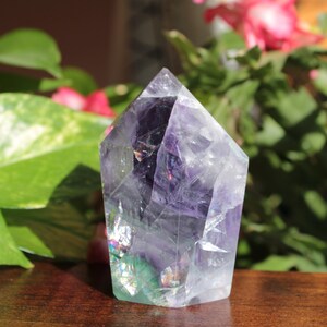 Könnte beinhalten: Eine violette und grüne Fluorit-Kristallspitze mit schillernden Regenbogen-Blitzen. Der Kristall ist poliert und hat eine spitze Spitze. Er liegt auf einer Holzoberfläche.