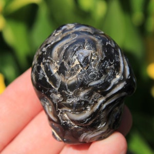 Enhydro Polished Agate Free Shape Water Crystal Emotional Healing Water Agate Enhydro Agate Pebble Fossil Water Crystal Nature Made