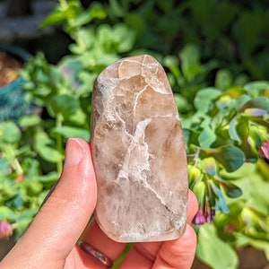 Natural Citrine Free Form Self Standing Crystal Citrine Crystal Meditation Stone Gemstone Crystal Healing