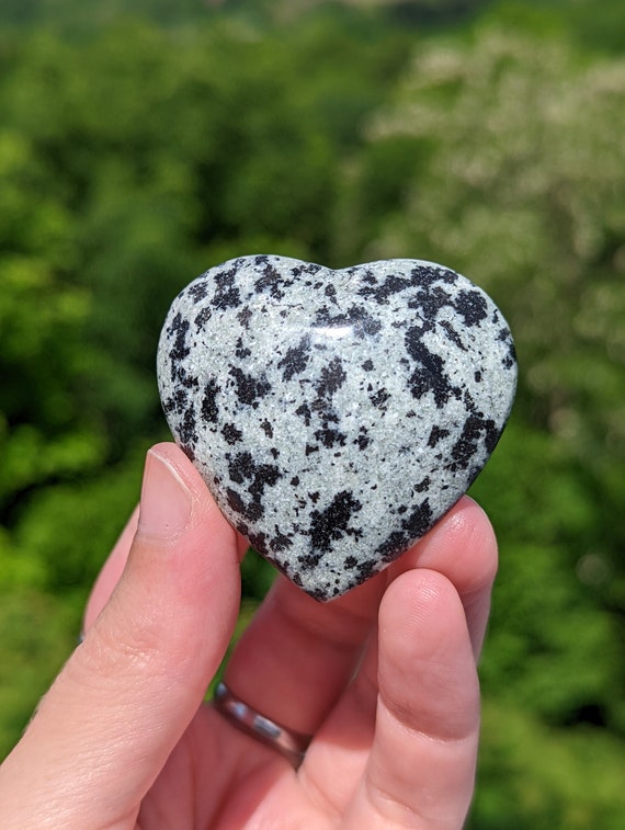Dalmatian Jasper Black And White Jasper Stone Meaning The Inner