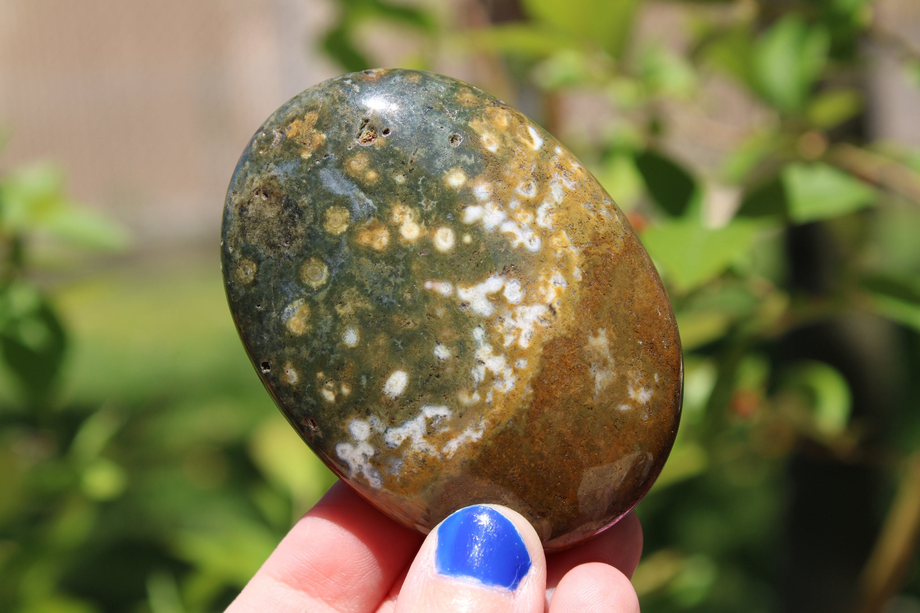 Ozean Jaspis Polierter Palmstein Orbicular Jaspis Mineral Chalcedon Edelstein Positiver Kommunikationskristall