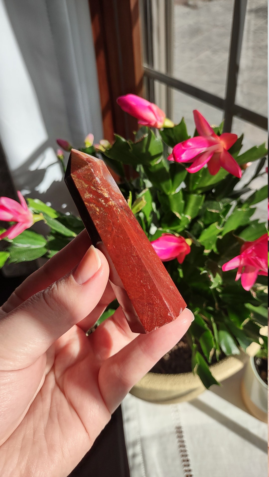 The Fruition Stone Red Petrified Wood Polished Point Gemstone Crystal