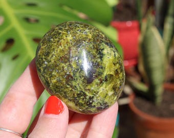 May include: A polished, oval-shaped stone with a mottled pattern of green and yellow hues. The stone has a glossy finish and is held in a hand with red nail polish. The background includes green foliage and potted plants.