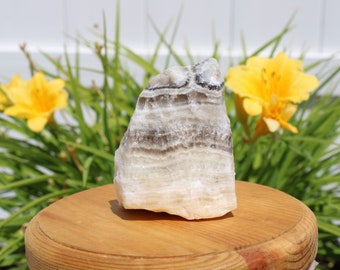 Pode incluir: Um espécime de pedra natural bruta com faixas em camadas de tons creme, bege e cinza. A pedra é exibida em um suporte de madeira redondo, com flores amarelas e folhagem verde ao fundo. A textura áspera e as variações de cor da pedra são proeminentes.