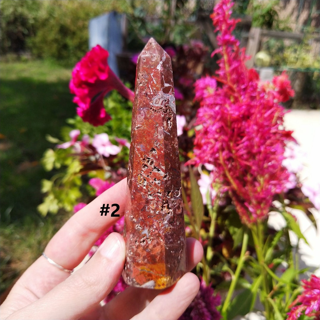 The Fruition Stone Red Petrified Wood Polished Point Gemstone Crystal