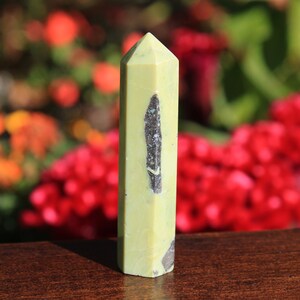 Serpentine with Pyrite Mini Crystal Obelisk Point, Altar Crystal Healing Multi Faceted Multi Purpose Crystal